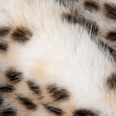 Density Contact Faux Fur Stof voor in kleding en auto bekleding